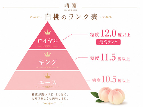 商品説明
