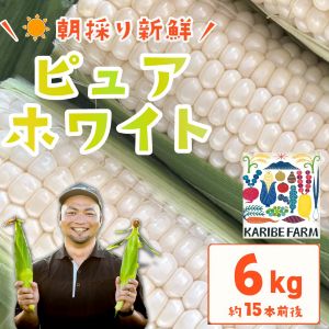 ��2026ǯȯ�������ͽ��� ���ʻ�ī�Τ�Ȥ�������� ��6kg �� �ԥ奢�ۥ磻�� �ˡ�