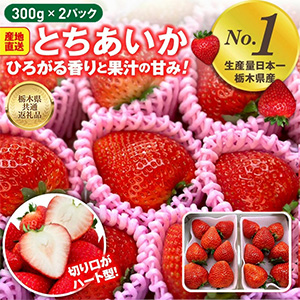 ������ �Ȥ������� 300g��2�ѥå���2026ǯ12���ȯ�������ڸ����������ʡ�
