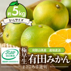 ��2026ǯȯ�������ͽ����²λ����� ͭ�Ĥߤ��� (������) 5kg (S��L������)�ڥ��������ޤ����ۡڤޤ����������̡�