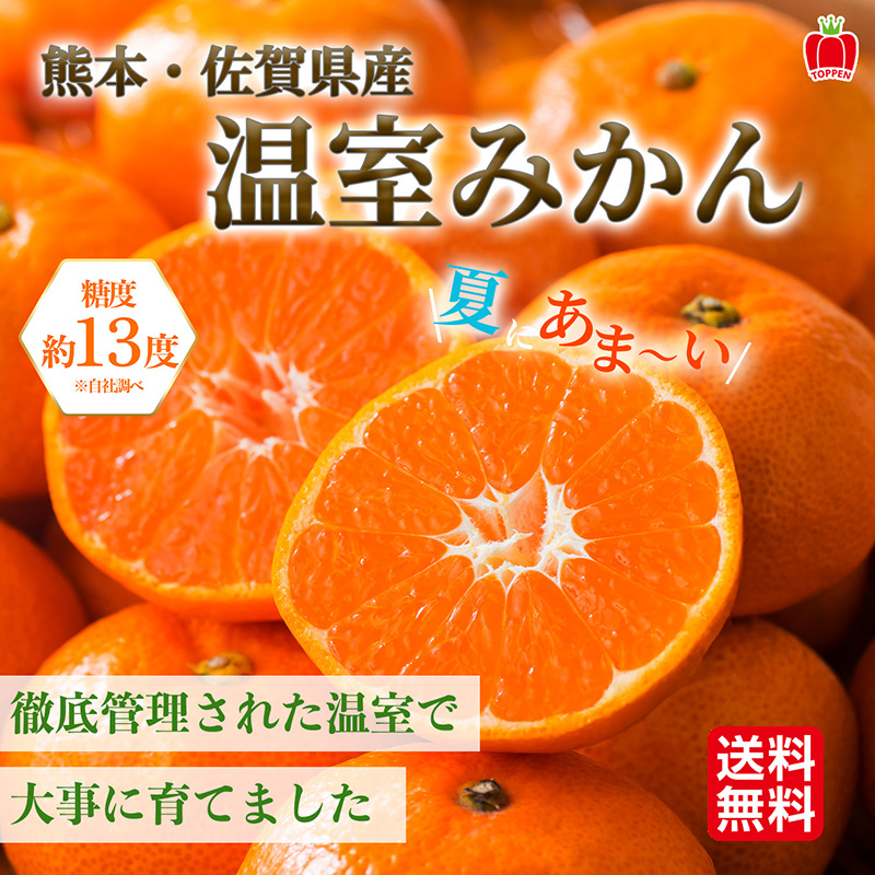 商品説明