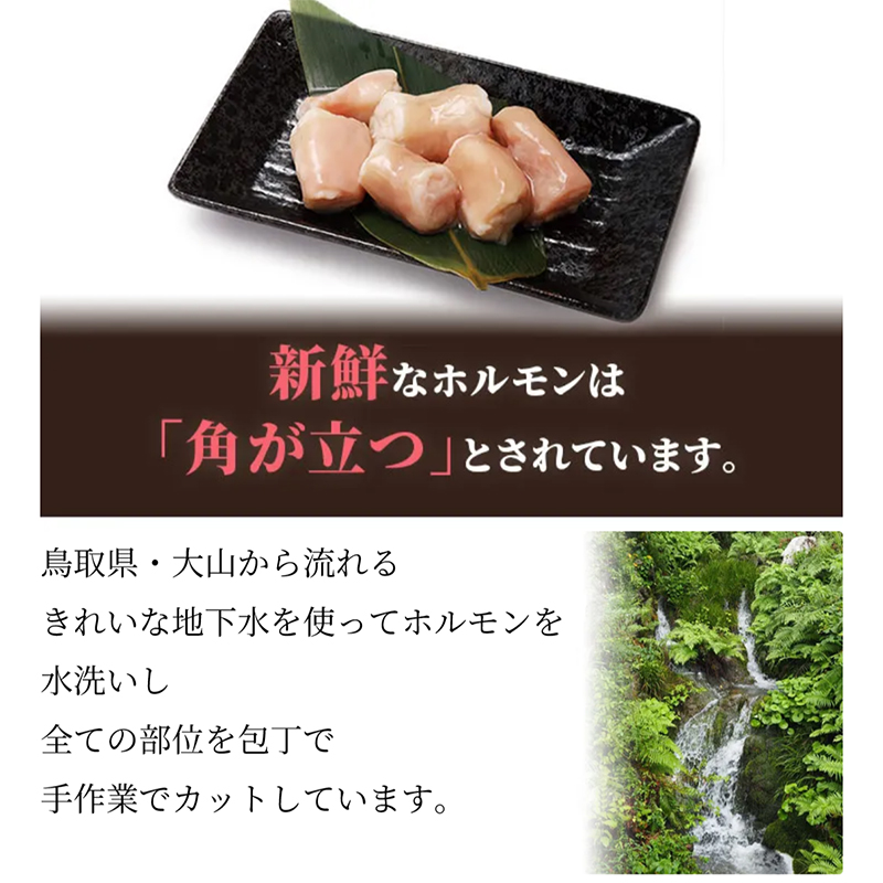 商品説明