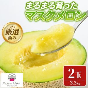 �ޤ�ޤ��ä��ޥ��������(2�̡���3.3kg�ʾ�)��