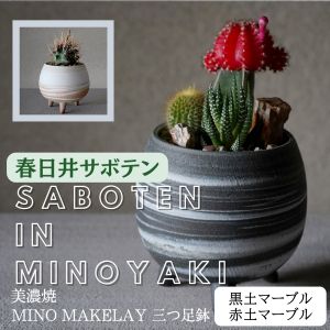 ¿�����ԡ߽�����ԥ���� ����ǻ�ơ� MINO MAKELAY ����­ȭ