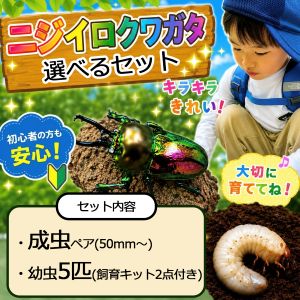 ������Farm�ۥ˥��������塞�����鿴�Ԥ�����¿��������饭�å�