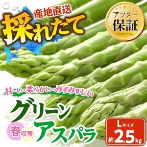 �ռ��ϥ��꡼�󥢥��ѥ�L��������500g��5����2.5kg��2027ǯ6���ܤ���ȯ������ͽ���