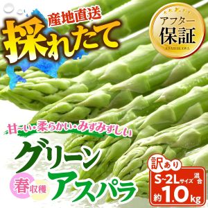 ��������۽ռ��ϥ��꡼�󥢥��ѥ�S��2L���祵���� ��1kg ��2027ǯ6���ܤ���ȯ������ͽ��)