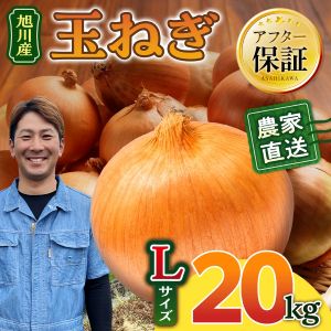 �����ͽ�������ľ�� ������ ��� �̤ͤ�L������ 20kg(2026ǯ9��ȯ������ͽ��)
