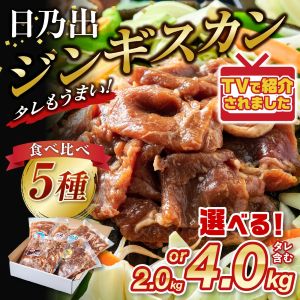 ��ǵ�Х��󥮥����󿩤���� 5��