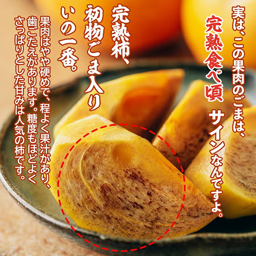 商品説明