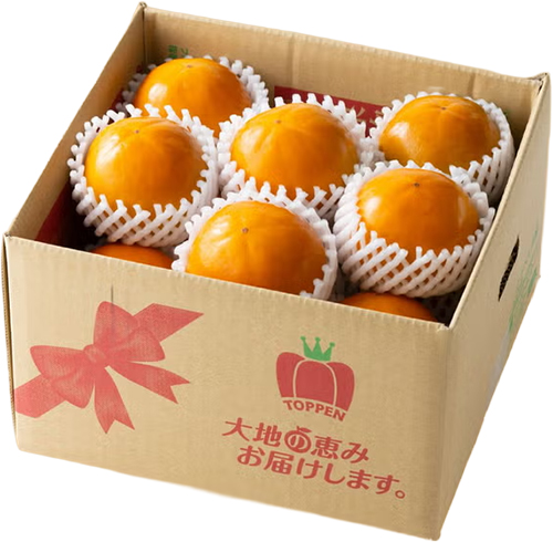 商品説明