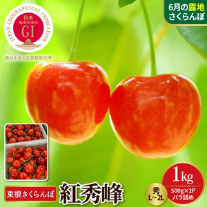 ��2027ǯ�����ͽ���GIǧ�ڻ��� �캬�������ܡֹȽ����� ��L��2L 1kg�Х�ͤ�(500g��2P)