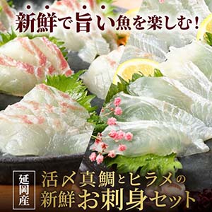 ��ǯ��ǯ�Ϥ��Ϥ��� �衺����ȥҥ��Τ��ɿȥ��åȡ����ؿ建��