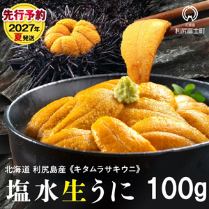 ���ͽ��2027ǯȯ�����������ȶ�Ʊ�ȹ�� ������饵������100g�ߥ祦�Х��Ի���