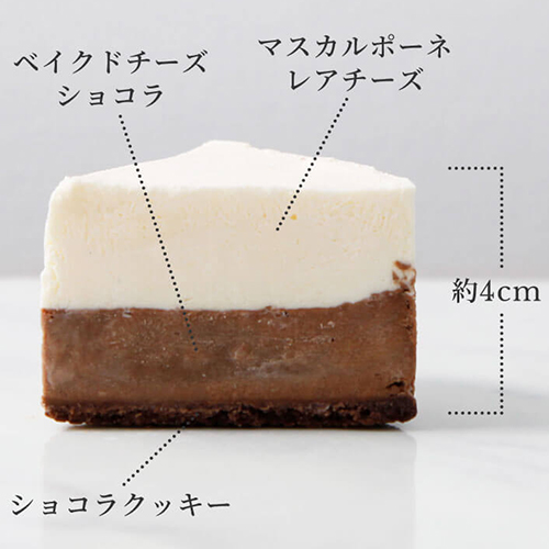 商品説明