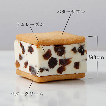 商品説明