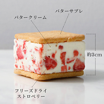 商品説明