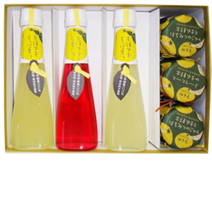 柚冬庵 木頭ゆず三昧 珈琲/茶/ドリンク | G-Callショッピング