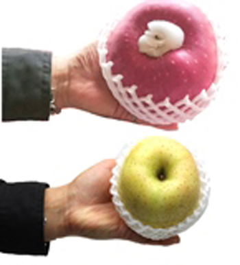 輸入 国産青果物専門商社 ベルフーズ 青森産りんご 世界一 くだもの G Call ショッピング