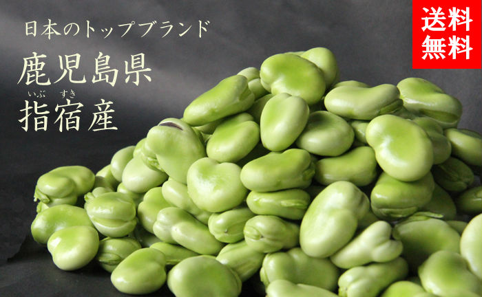 鹿児島県指宿産 そらまめ A品ｍｌ混合 野菜 アグリスタイル G Callショッピング