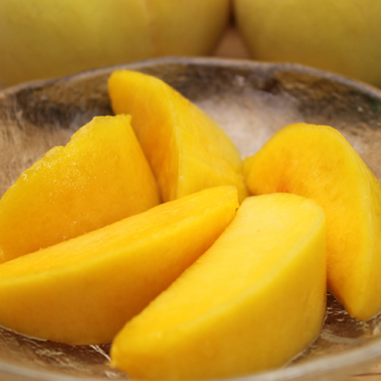 R7終了 山梨県産 黄美娘