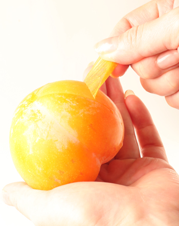 山形産 日本すもも≪峰満イエロー≫ くだもの | G-Callショッピング