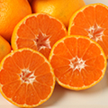 King of Orange しずおか美人蜜柑