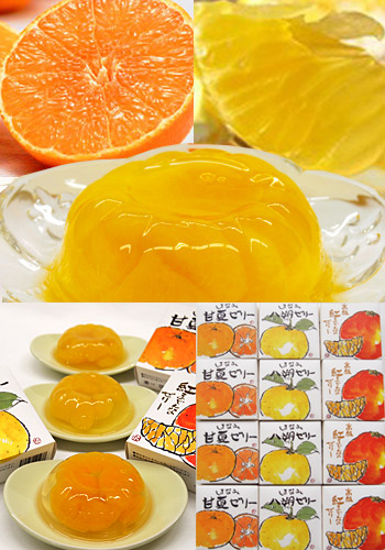 ビーマック 愛媛の柑橘ゼリー（CP） 洋菓子 | G-Callショッピング