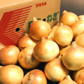 上州富岡産たまねぎ