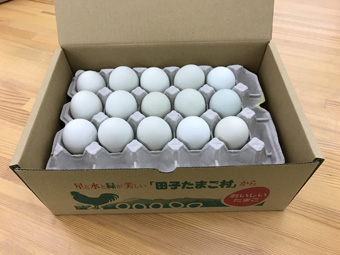 田子たまご村 初産み卵（緑の一番星） 肉類 | G-Callショッピング