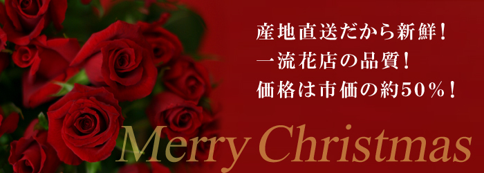 真紅の薔薇 クリスマス用 花 植物 G Callショッピング