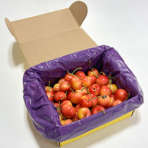 1kg(ܥåϹȢ)