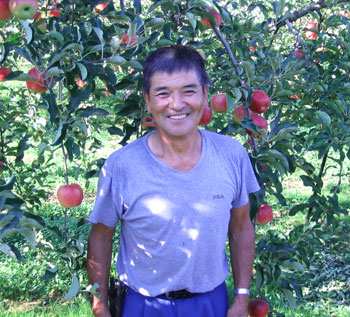 特秀品 山形県朝日町産 幻のりんご 高徳 G Call ショッピング