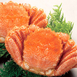 北海道産 ボイル毛蟹