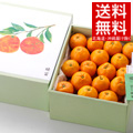 温州みかん
