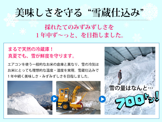 らせる 南魚沼産こしひかり10kg（5kg×2） 契約栽培 雪蔵貯蔵米：新潟県