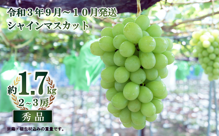 シャインマスカット 秀品 2 3房 約1 7kg 先行予約 21年9月発送開始 G Call ふるさと納税 シャインマスカット 秀品 2 3房 約1 7kg 先行予約 21年9月発送開始 G Call ふるさと納税