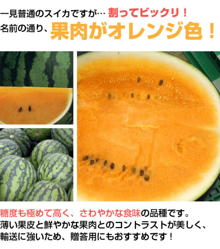サマーオレンジスイカ10.2キロ
