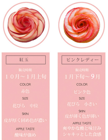 洋菓子 フルーツタルト ミニ 紅玉 ピンクレディ アップル リンゴ 薔薇 バラ アップルアンドローゼス 長野 信州安曇野 ギフト プレゼント 受賞 全国菓子大博覧会 内閣総理大臣賞 G Callショッピング