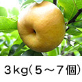 ３kg（５〜７個）