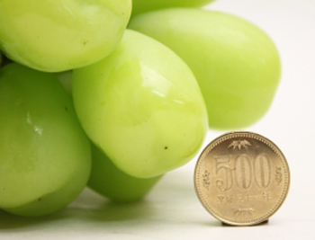 ぶどう様 タイムセール!! チリ産 大粒干し葡萄 ほしぶどう 320g ジャンボ