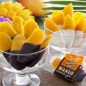 ドライマンゴーチョコレート G Call ショッピング
