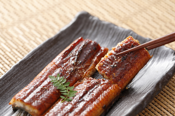 大隅産うなぎ蒲焼 Br 有頭 Br ２００g １０尾 G Call ショッピング