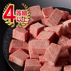 縩µ֥󥵥ơ