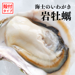  Τ礤郎չʤϤ뤫˥ե륷룴̥(Ĥ600800)դ䲴