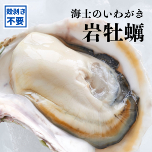 ΤΤ郎չʤϤ뤫˥ϡեڳס