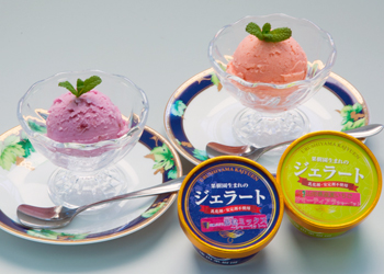 南陽産フルーツ＆加工品の定期便１０回コース【2022年1月～お届け