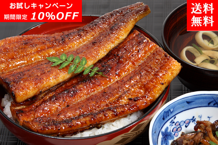 【楽天市場】【ふるさと納税】都城産宮崎牛モモ・ウデスライス800g 牛肉 A4ランクの国産ブランド牛(黒毛和牛