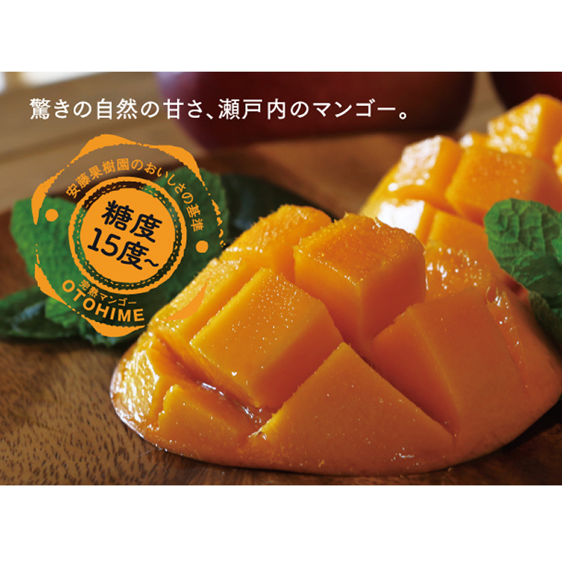 糖度15度以上を計測します 香川県産 安藤果樹園の 讃岐おとひめマンゴー G Callショッピング