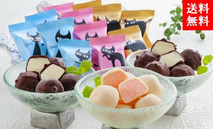 イーペルの猫祭り プチチョコアイス | G-Callショッピング